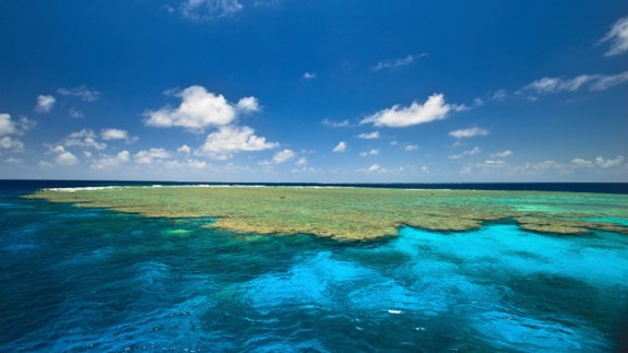 Fears Aussie coral reefs damaged by coal depots
