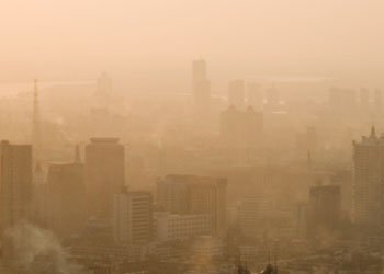 Preserving environment is imperative, says OECD