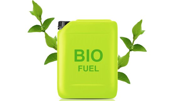 US awards $12.6m for bioenergy