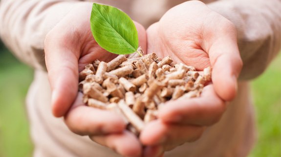 New £2.2m project aims to make bioenergy cheaper