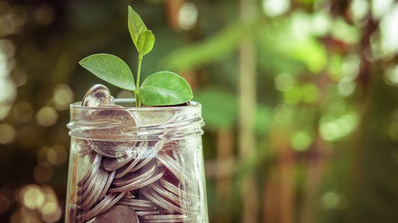 Less than half of banks ‘taking climate change seriously’