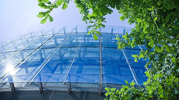 Green offices can ‘boost workplace productivity and cut costs’