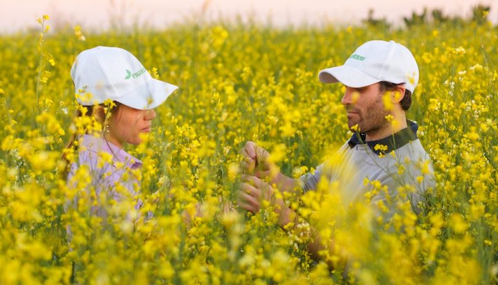 Nuseed and bp announce sustainable biofuel partnership