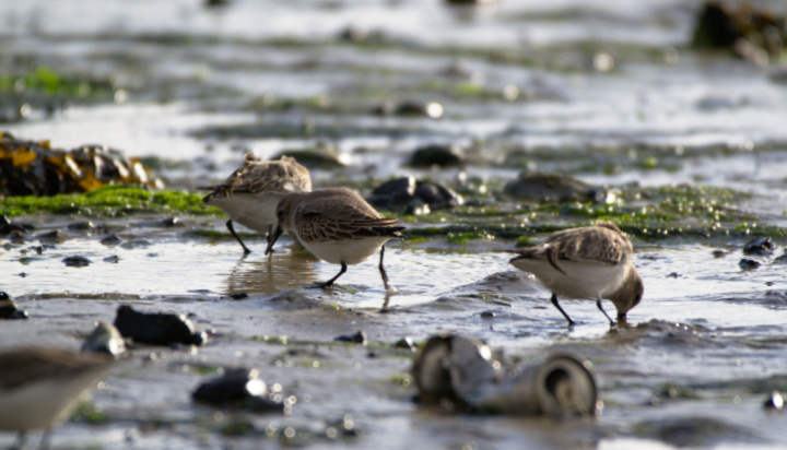 Government clamps down on water pollution