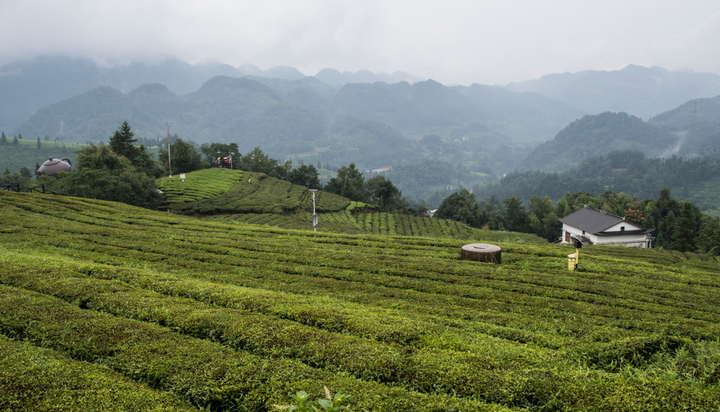 World Bank approves €136m loan to support ‘climate-smart’ agriculture in China’s Hubei Province