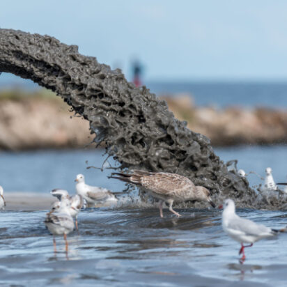 Polluting water companies could face £250m fine