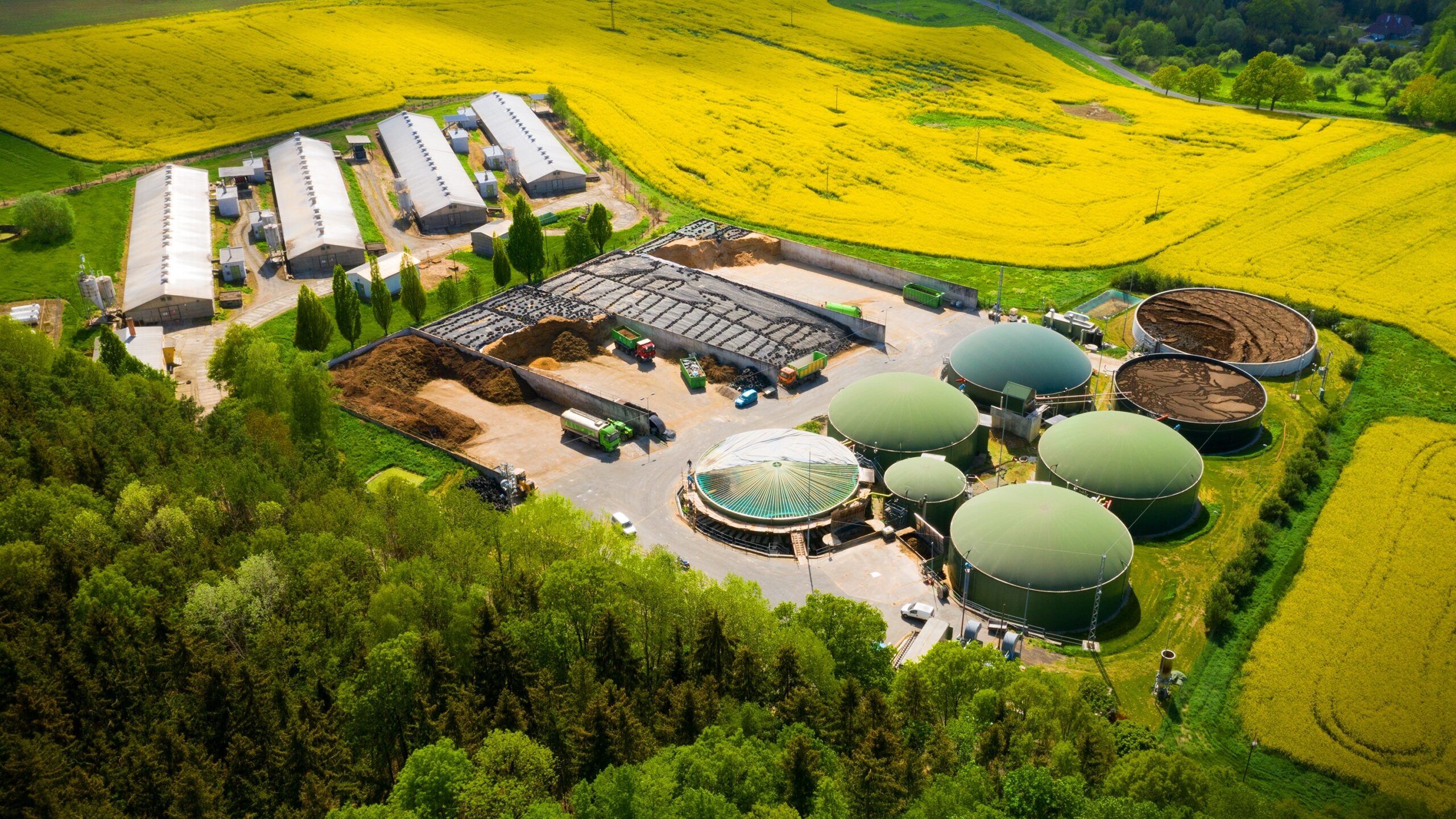 One-size-fits-all decarbonisation strategy won’t work