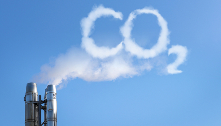 CTX to launch cross-border trading of carbon-neutrality tokens