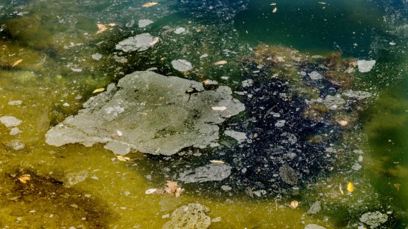 ‘Global water resources need cleaning’ say millenials