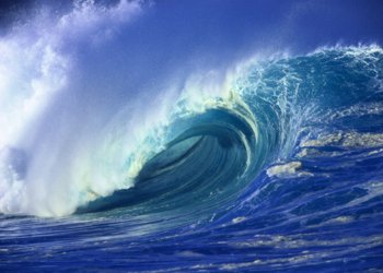 RenewableUK welcomes Scottish marine park