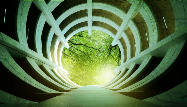 What should we use carbon reduction credits for?