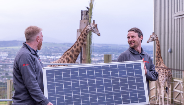 E.ON installs giant solar meadow at Edinburgh Zoo