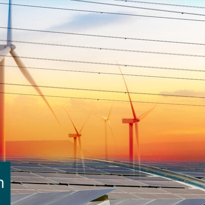 Net zero has meant a compete reform of the distribution network, says expert