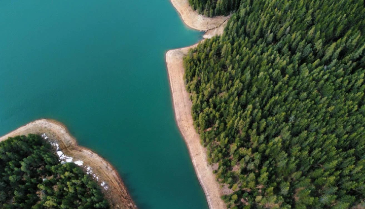 The pros and cons of carbon credits and choosing your portfolio